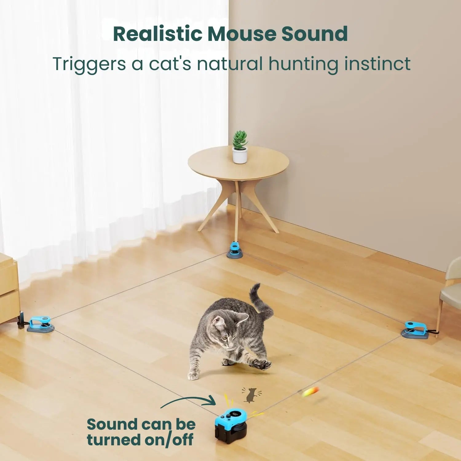 EasyPaw™ Chasing Toy - Easypaw