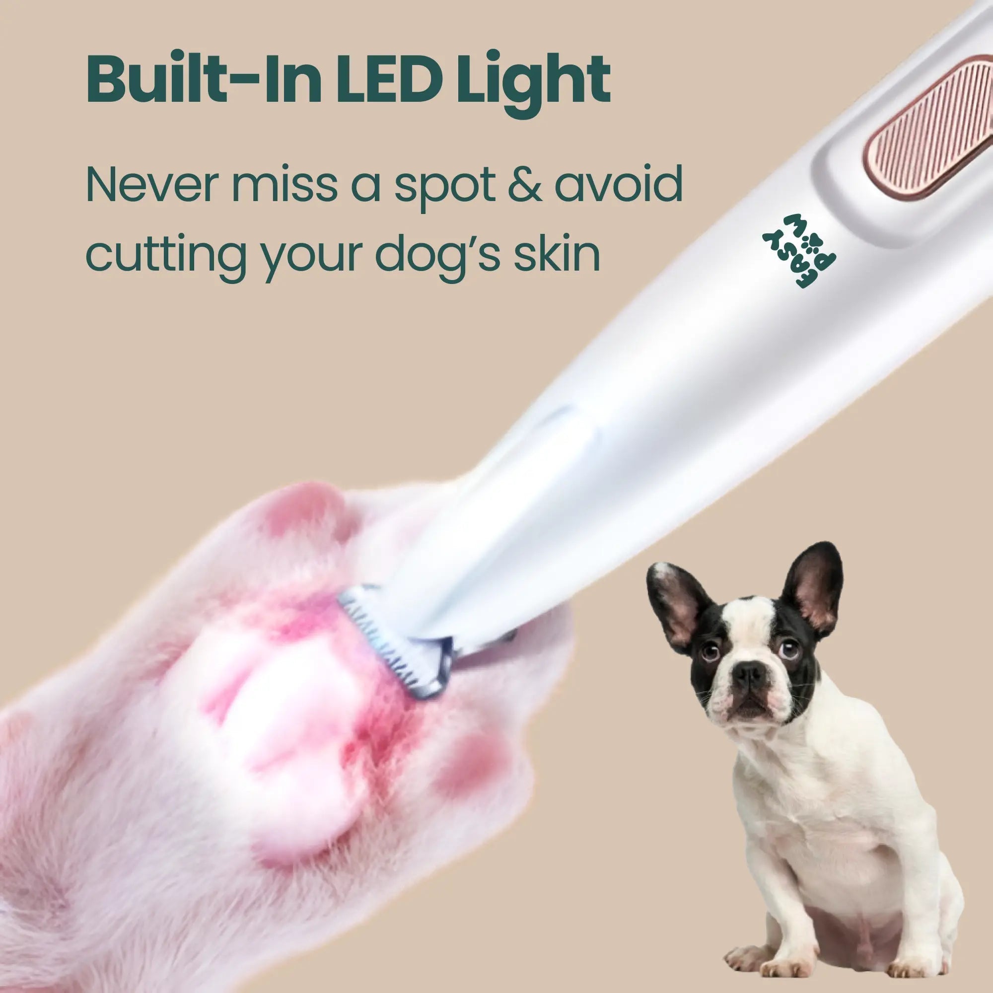 EasyPaw™ Complete Care Kit - Easypaw