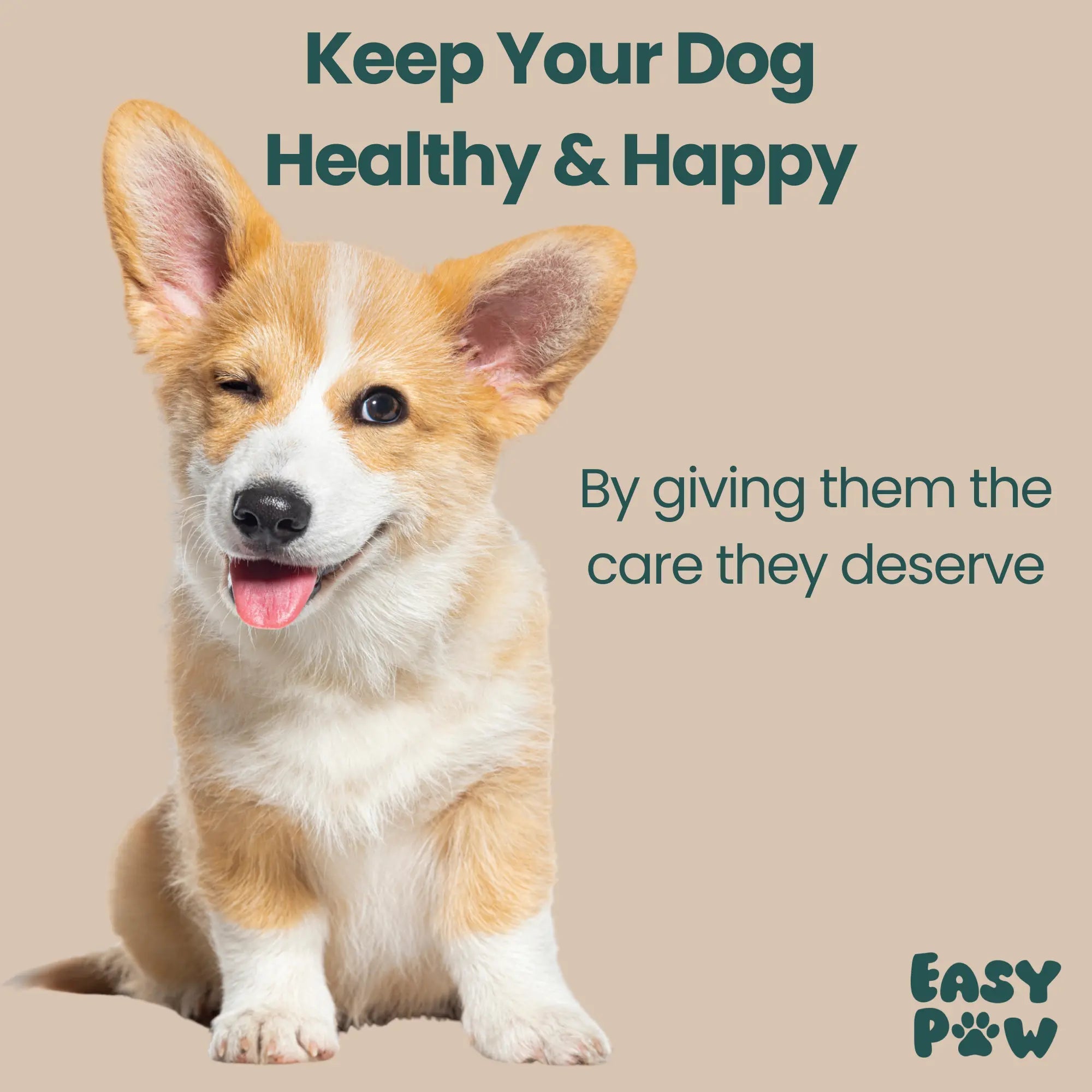 EasyPaw™ Complete Care Kit - Easypaw