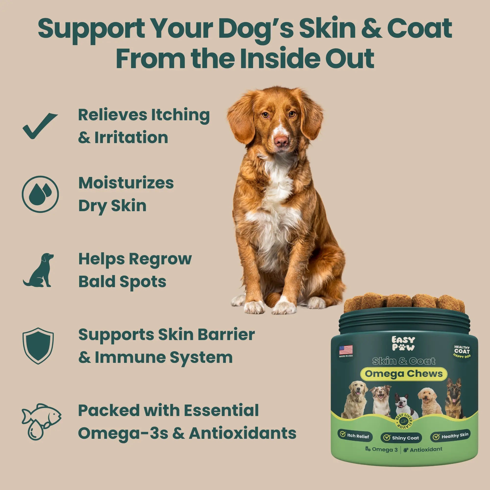 EasyPaw™ Complete Care Kit - Easypaw