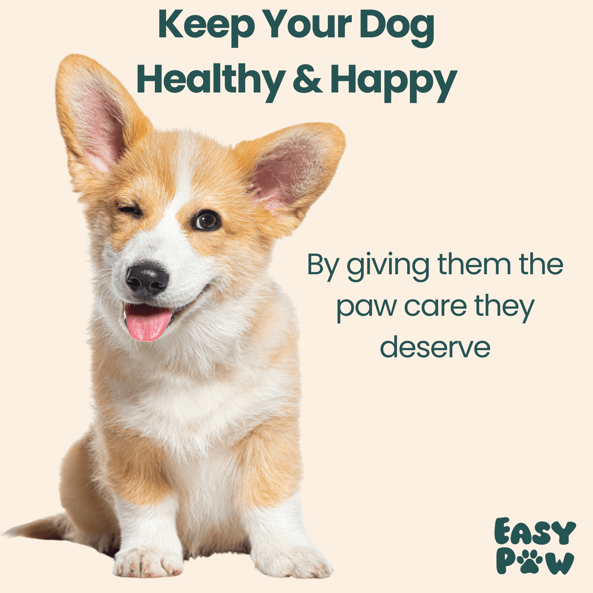 EasyPaw™ Nail Grinder - Easypaw