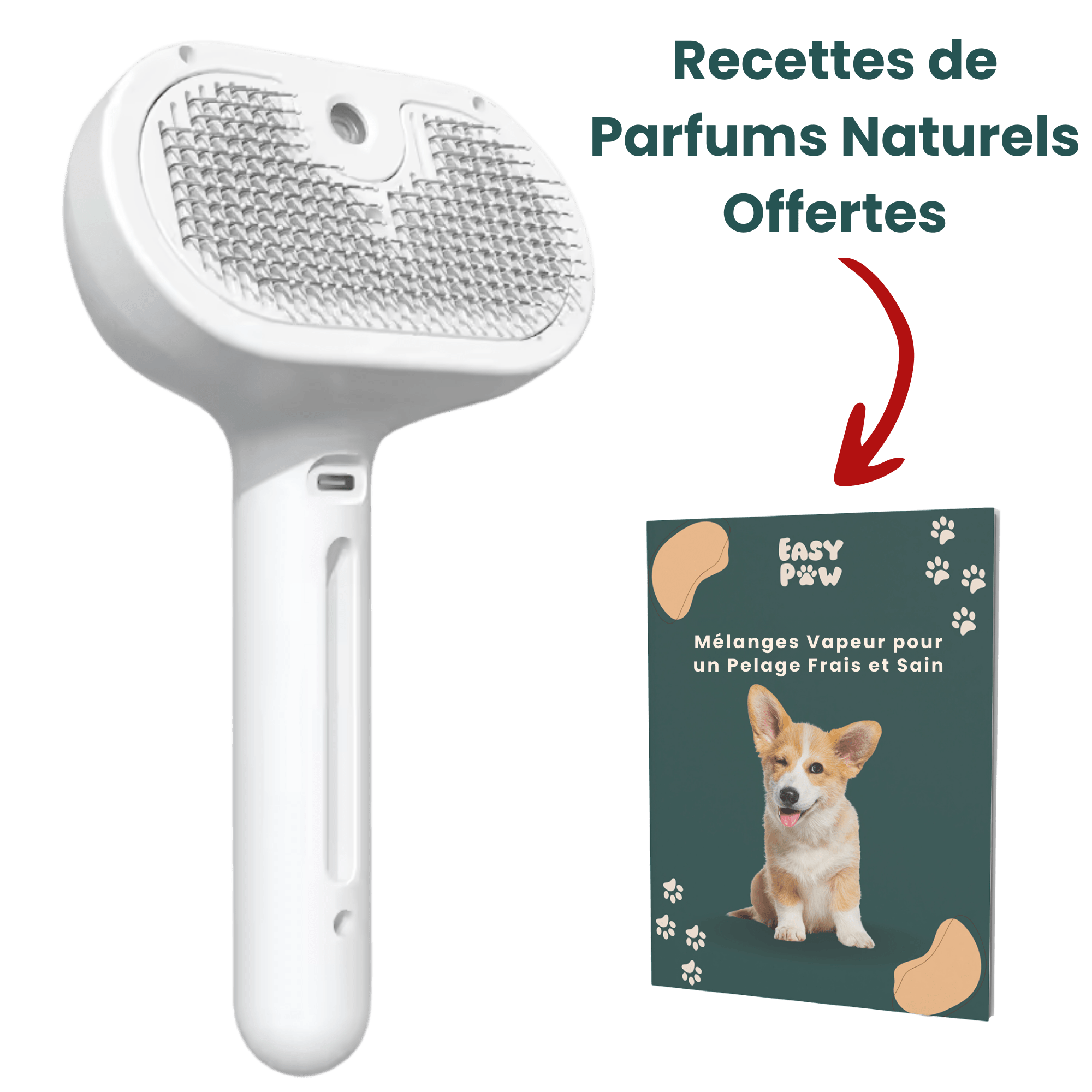 EasyPaw™ Steam Brush - Easypaw