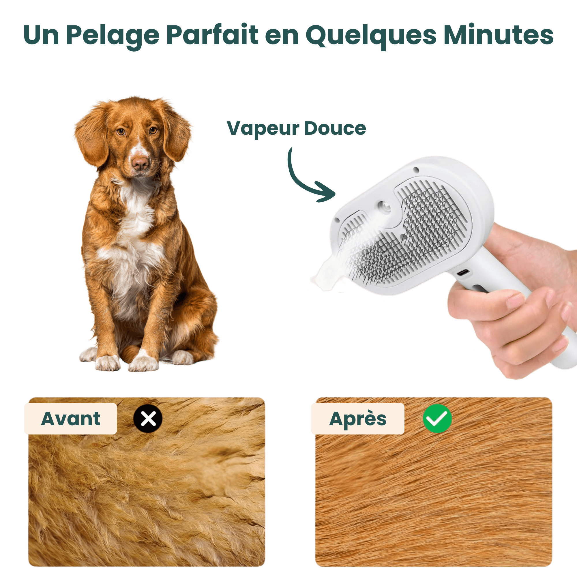 EasyPaw™ Steam Brush - Easypaw