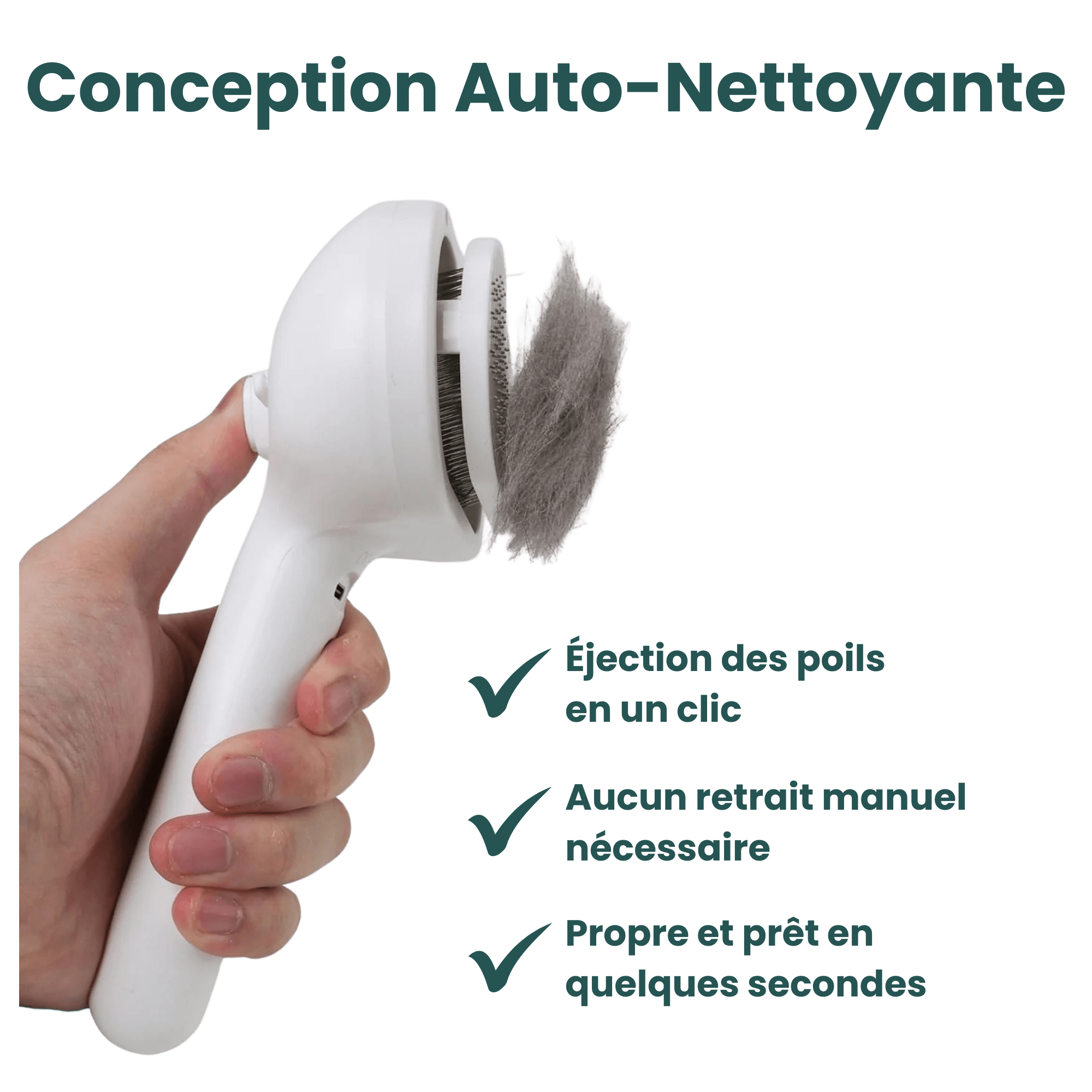 EasyPaw™ Steam Brush - Easypaw