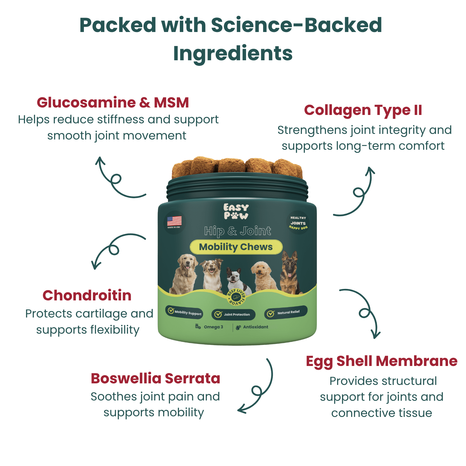 Hip & Joint Supplement - Easypaw